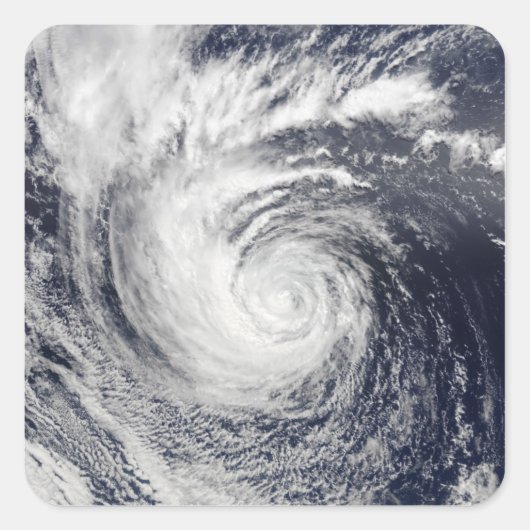 ハリケーンエレ スクエアシール (正面)