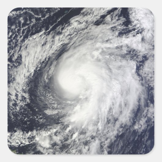 ハリケーンオット スクエアシール (正面)