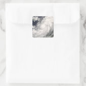 ハリケーンオマール スクエアシール (バッグ)