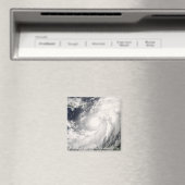 ハリケーンオマール マグネット (インサイチュ (食洗機))