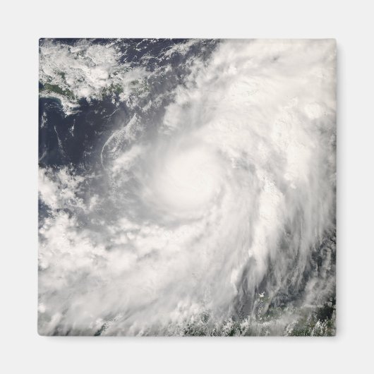 ハリケーンオマール マグネット (正面)