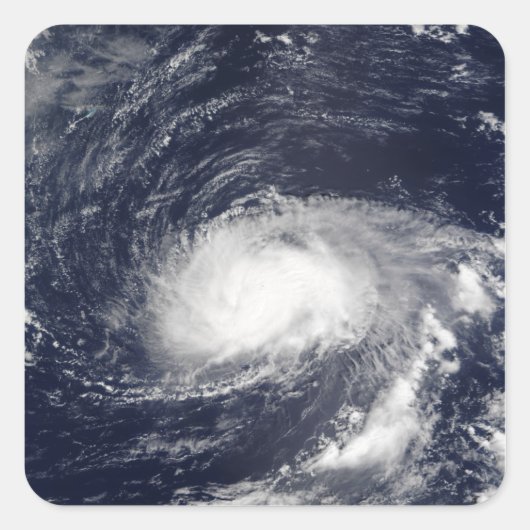 ハリケーンカイル スクエアシール (正面)