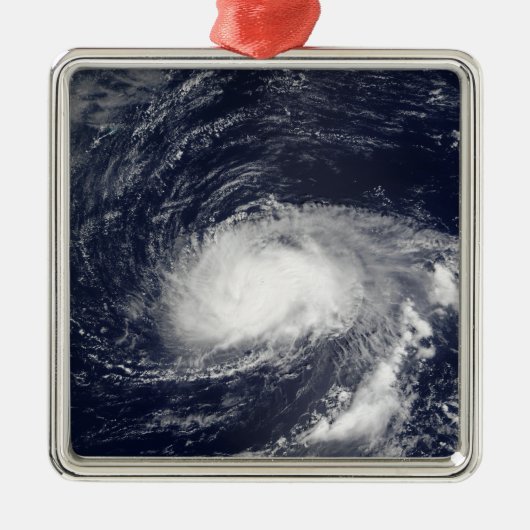 ハリケーンカイル メタルオーナメント (正面)
