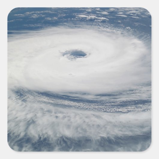 ハリケーンカタリナ スクエアシール (正面)