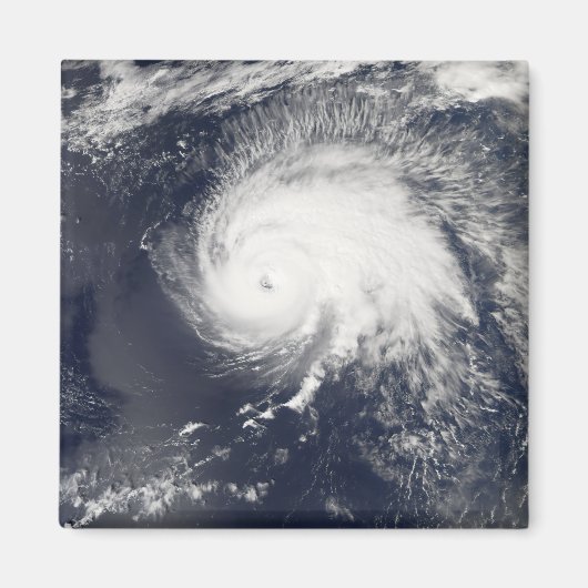 ハリケーンゴードン マグネット (正面)