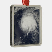 ハリケーンゴードン メタルオーナメント (右)