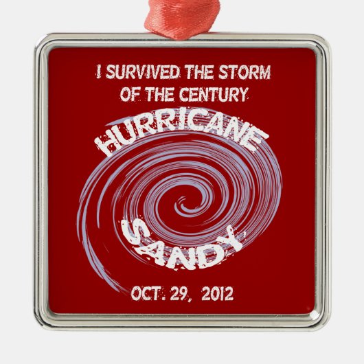 ハリケーンサンディオーナメント メタルオーナメント (正面)
