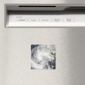 ハリケーンジメナ マグネット (インサイチュ (食洗機))