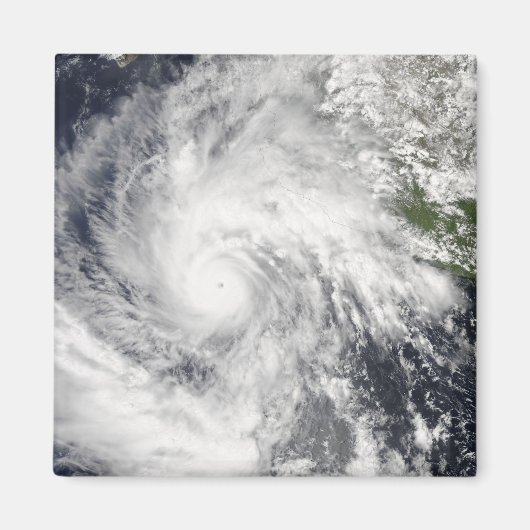 ハリケーンジメナ マグネット (正面)