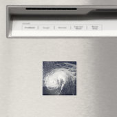 ハリケーンダニエル マグネット (インサイチュ (食洗機))