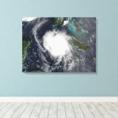 ハリケーンチャリー2 キャンバスプリント (インサイチュ (ウッドフロア))