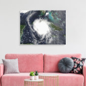 ハリケーンチャリー2 キャンバスプリント (インサイチュ (リビング))