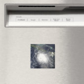 ハリケーンチャーリー マグネット (インサイチュ (食洗機))