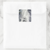 ハリケーントーマス スクエアシール (バッグ)