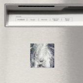 ハリケーントーマス マグネット (インサイチュ (食洗機))