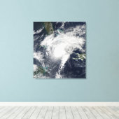 ハリケーンパロマ キャンバスプリント (インサイチュ (ウッドフロア))