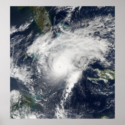 ハリケーンパロマ ポスター (正面)