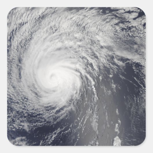 ハリケーンフェリシア スクエアシール (正面)