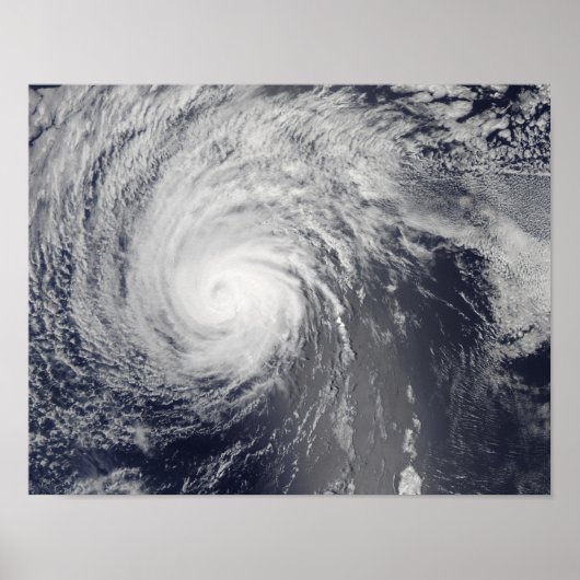 ハリケーンフェリシア ポスター (正面)