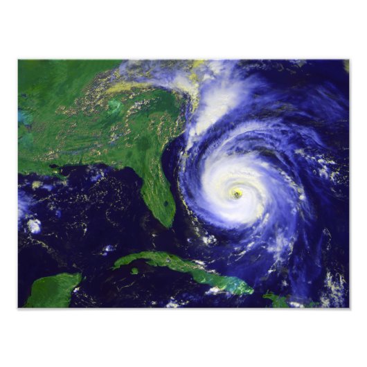 ハリケーンフラン フォトプリント            (正面)