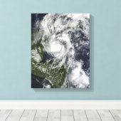 ハリケーンポーラ キャンバスプリント (インサイチュ (ウッドフロア))