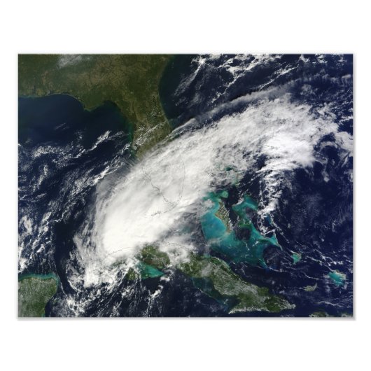 ハリケーンポーラ フォトプリント            (正面)