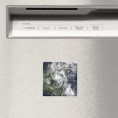 ハリケーンポーラ マグネット (インサイチュ (食洗機))