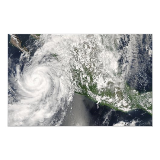 ハリケーンリエット フォトプリント            (正面)
