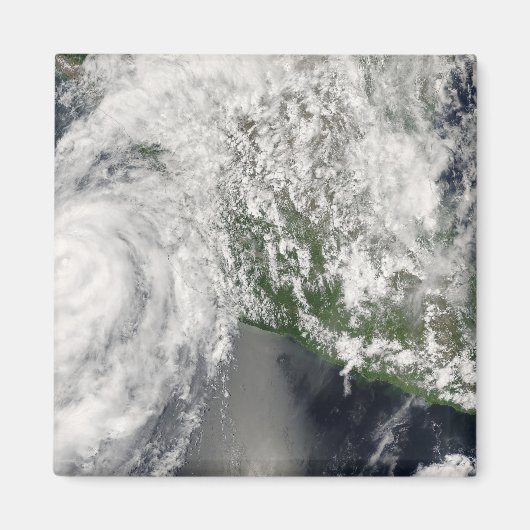 ハリケーンリエット マグネット (正面)