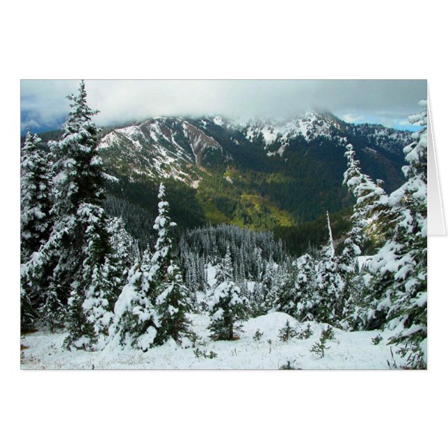 ハリケーンリッジ (正面横)