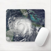 ハリケーンリリ4 マウスパッド (マウス)