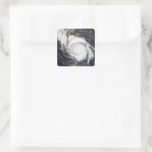 ハリケーンリリ5 スクエアシール (バッグ)