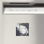 ハリケーンリリ5 マグネット (インサイチュ (食洗機))