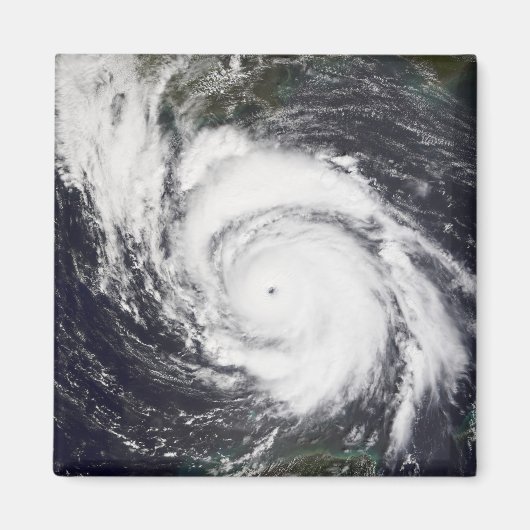 ハリケーンリリ5 マグネット (正面)