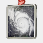 ハリケーンリリ5 メタルオーナメント (左)