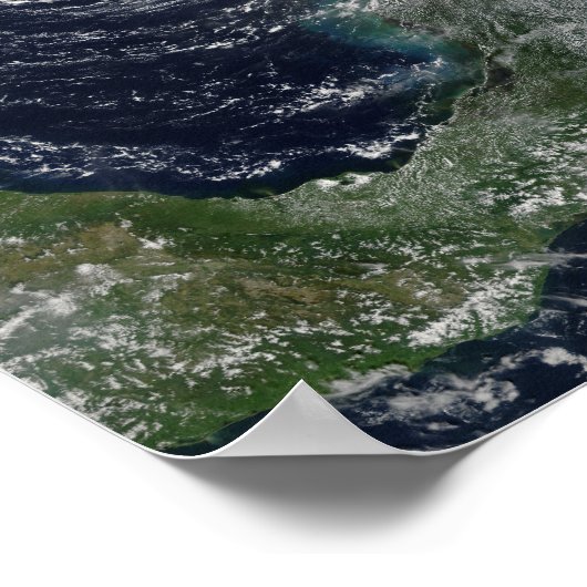 ハリケーンリリ ポスター (角)