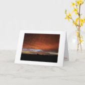 ハリケーン後のセントジョージ島 カード (黄色い花)