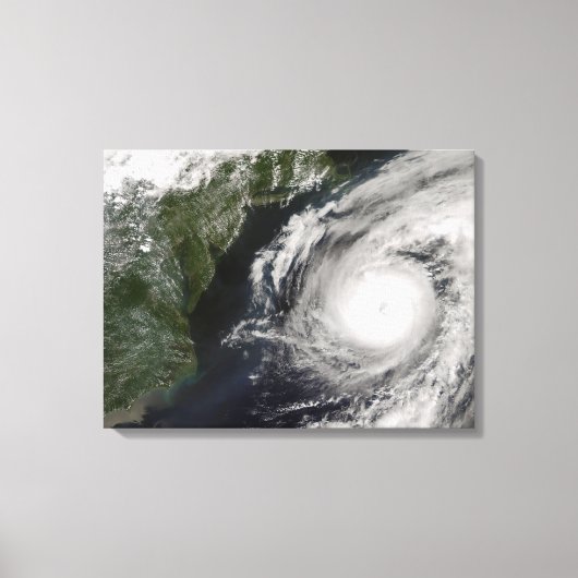 ハリケーン・アレックス2 キャンバスプリント (正面)