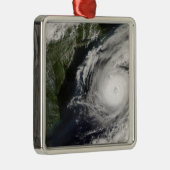 ハリケーン・アレックス2 メタルオーナメント (右)