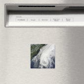 ハリケーン・イゴール マグネット (インサイチュ (食洗機))