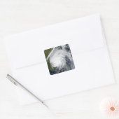 ハリケーン・イワン スクエアシール (封筒)