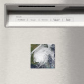 ハリケーン・イワン マグネット (インサイチュ (食洗機))