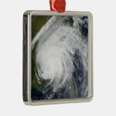 ハリケーン・イワン メタルオーナメント (右)