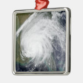 ハリケーン・イワン メタルオーナメント (左)
