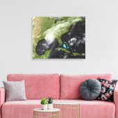 ハリケーン・カトリーナ4 キャンバスプリント (インサイチュ (リビング))