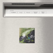 ハリケーン・カトリーナ4 マグネット (インサイチュ (食洗機))