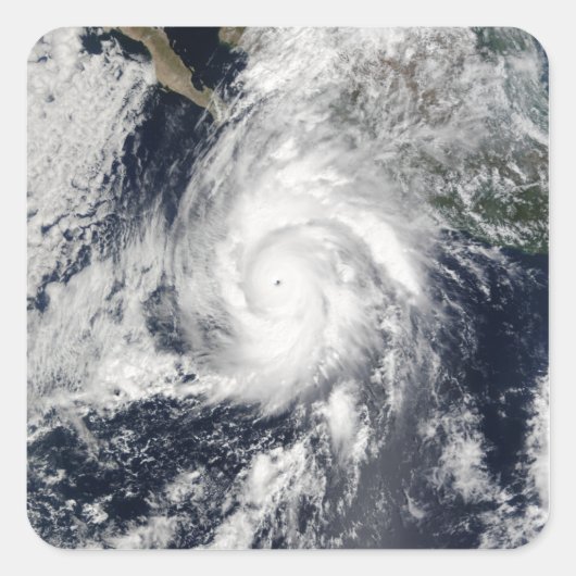 ハリケーン・ケナ2 スクエアシール (正面)