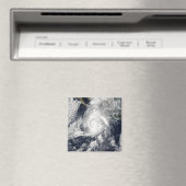 ハリケーン・ケナ2 マグネット (インサイチュ (食洗機))