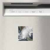 ハリケーン・ケナ マグネット (インサイチュ (食洗機))