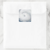 ハリケーン・ゴードン2 スクエアシール (バッグ)